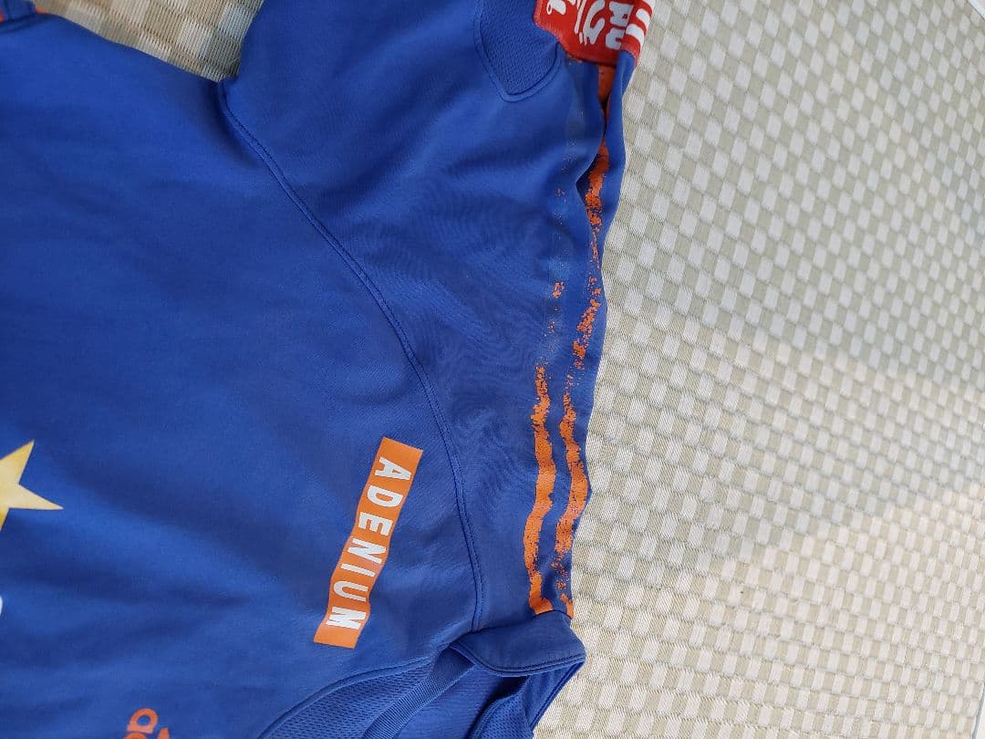 アルビレックス新潟上下