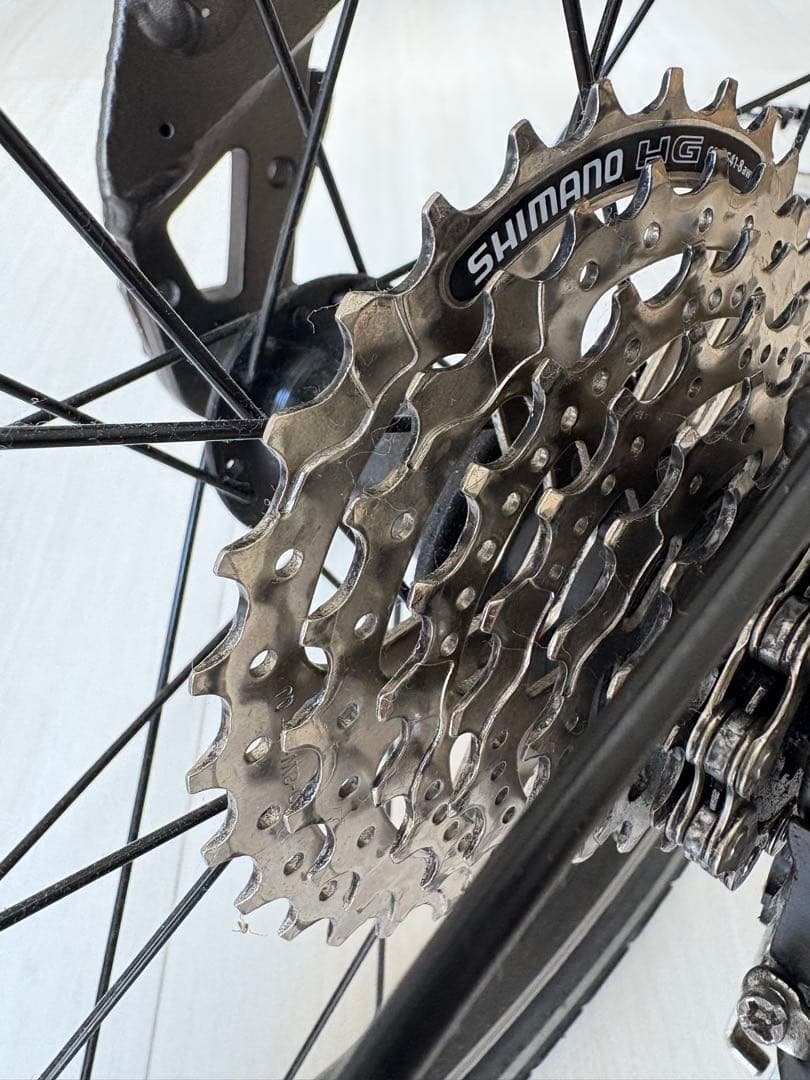 【値下げしました】birdy classic