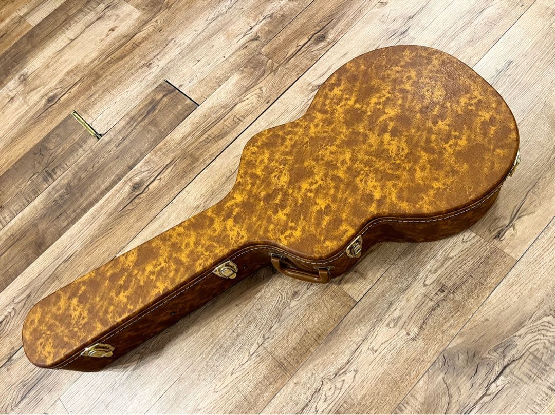 Fujigen/Masterfield MFA-FP 【フジゲン】【フルアコ】