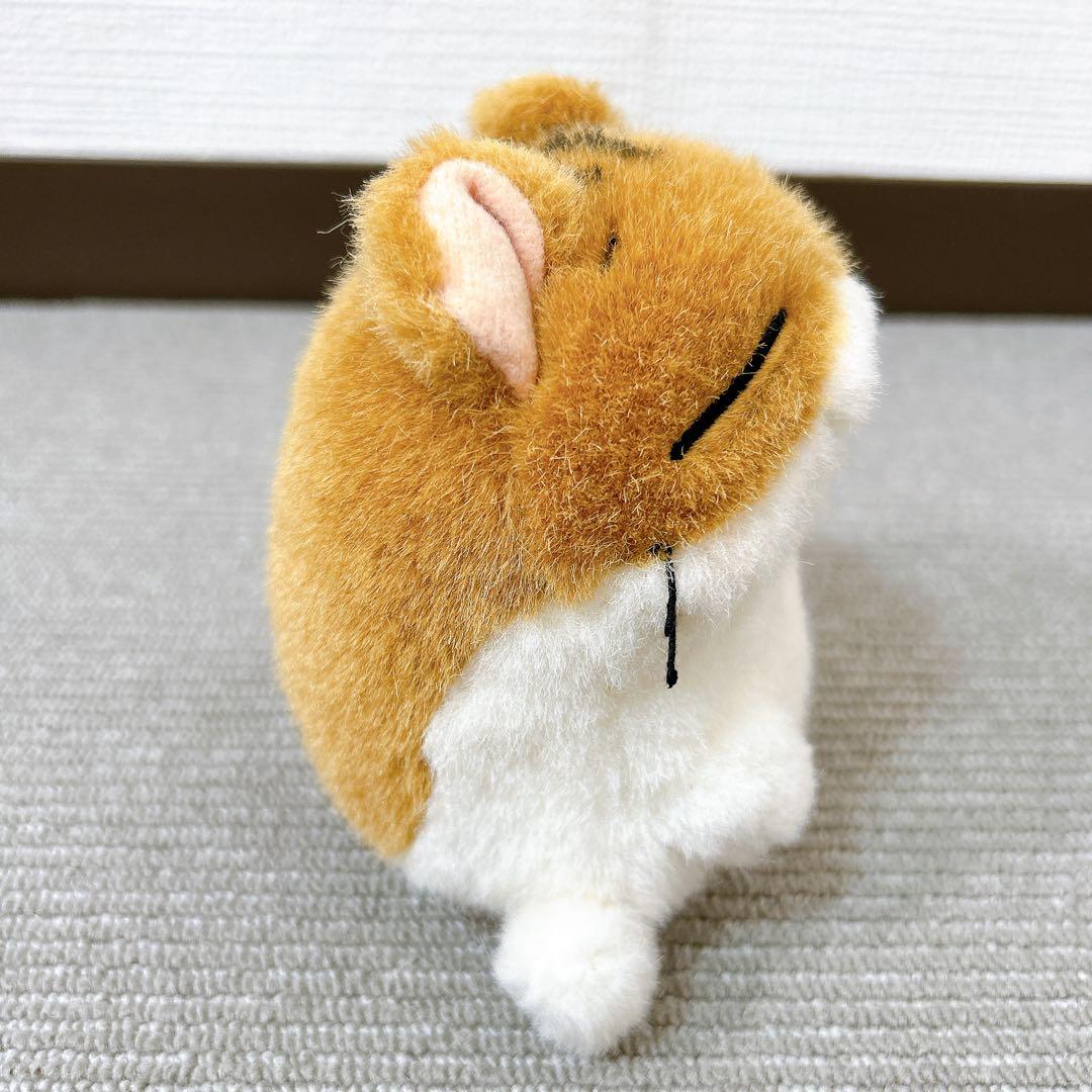 ハムスター倶楽部 めで鯛 あおば出版 サンライク 当時品 しげっち ぷーちゃん