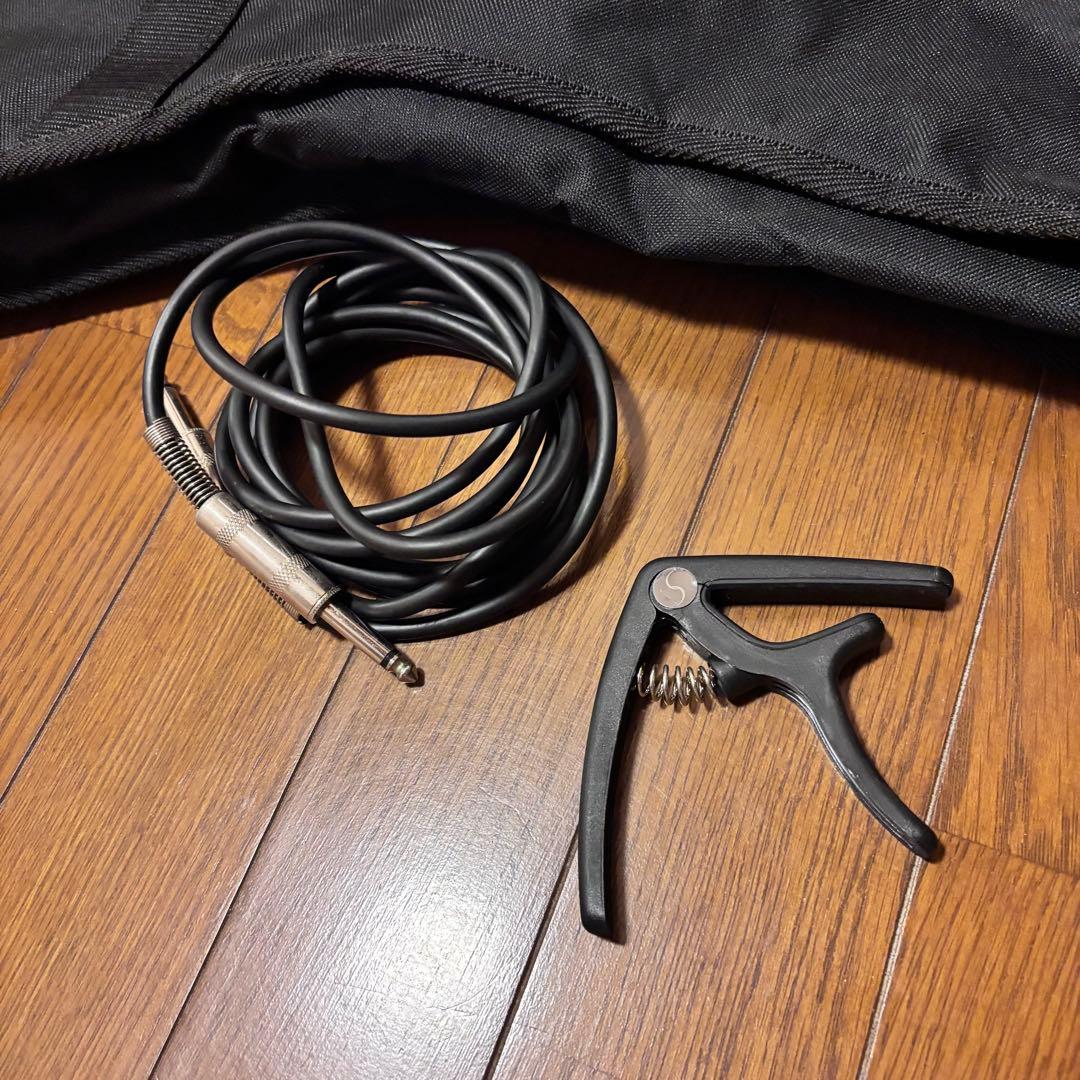 BUSKER'S バスカーズ テレキャスター タイプ ソフトケース・スタンド付き