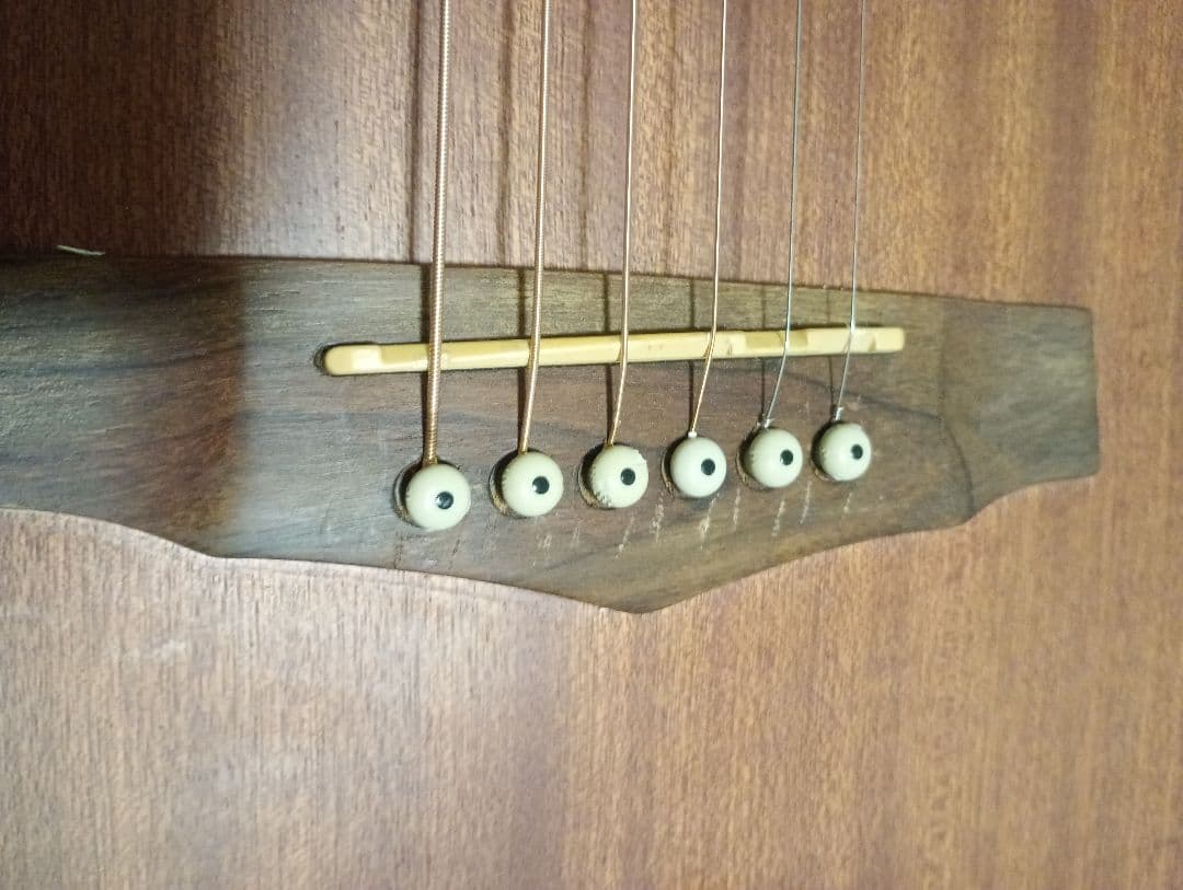 Ibanez PN15MHE-OPN エレアコ　アイバニーズ