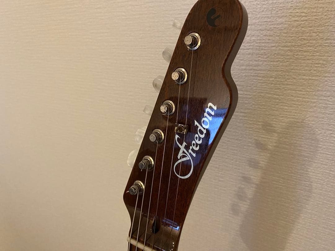 最終値下げ Freedom Custom Guitar Green Pepper