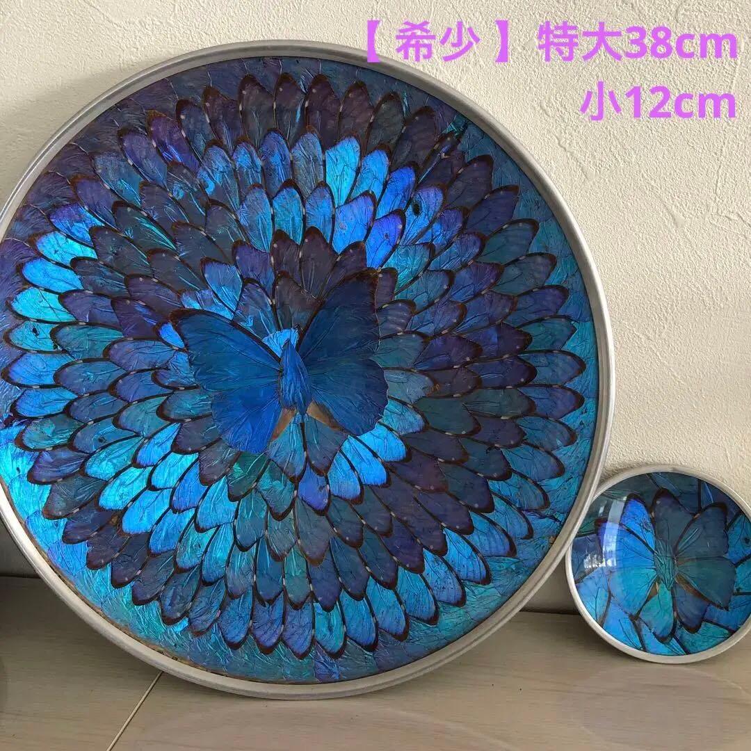 モルフォ蝶　飾り皿　標本　壁飾り　壁掛け