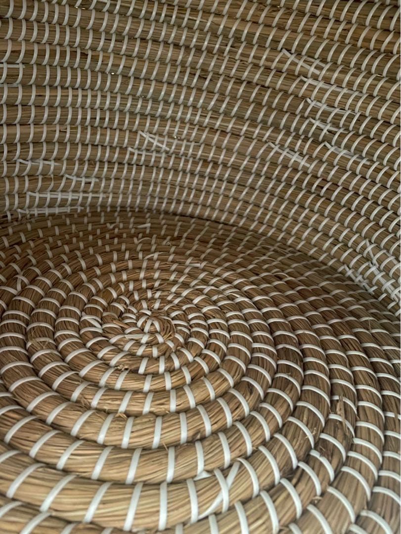 【新品未使用】ドーム型犬猫用ハウス