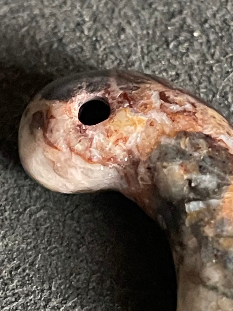 弥生〜古墳時代勾玉　変成岩？