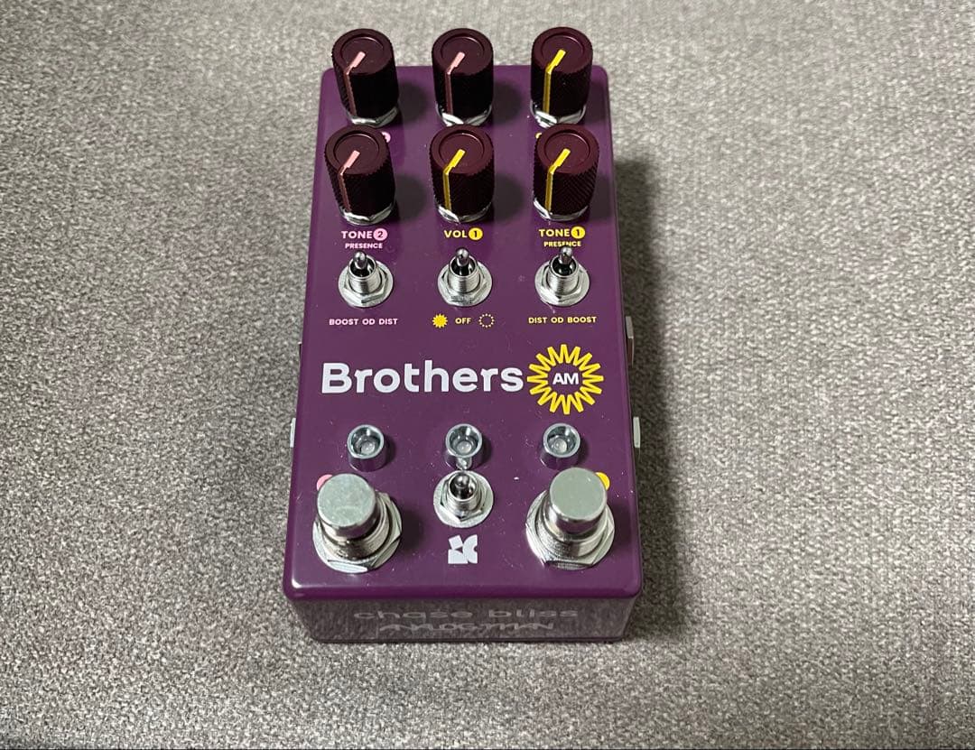 【新品同様】chase bliss audio brothers AM