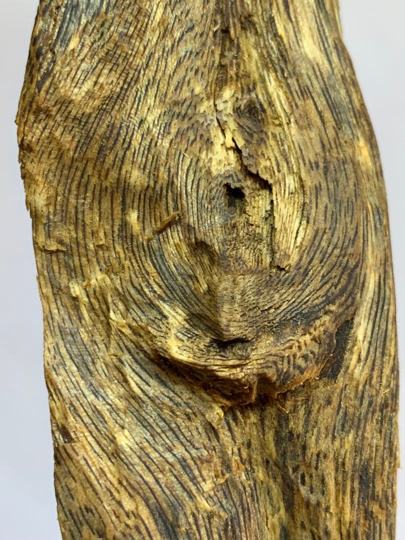 極上緑油伽羅 沈香原木 香木 重さ:131.8g (高ランク本物証明)