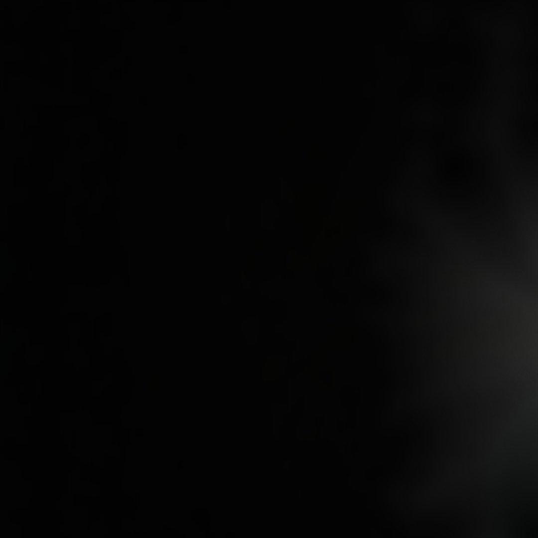 【美品】フレッドペリー♩ モッズ　フィッシュテールコート&キルティングライナー