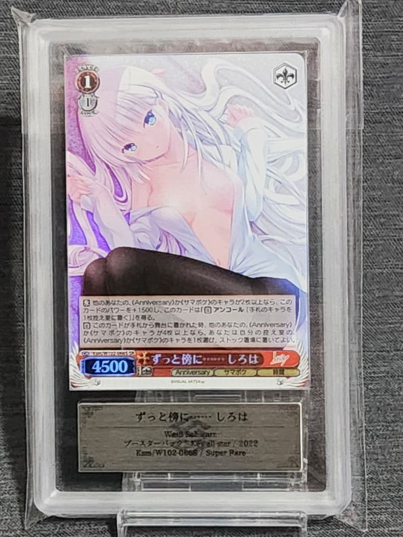 【 ARS10 】 ずっと傍に・・・・しろは ヴァイシュシュバルツ