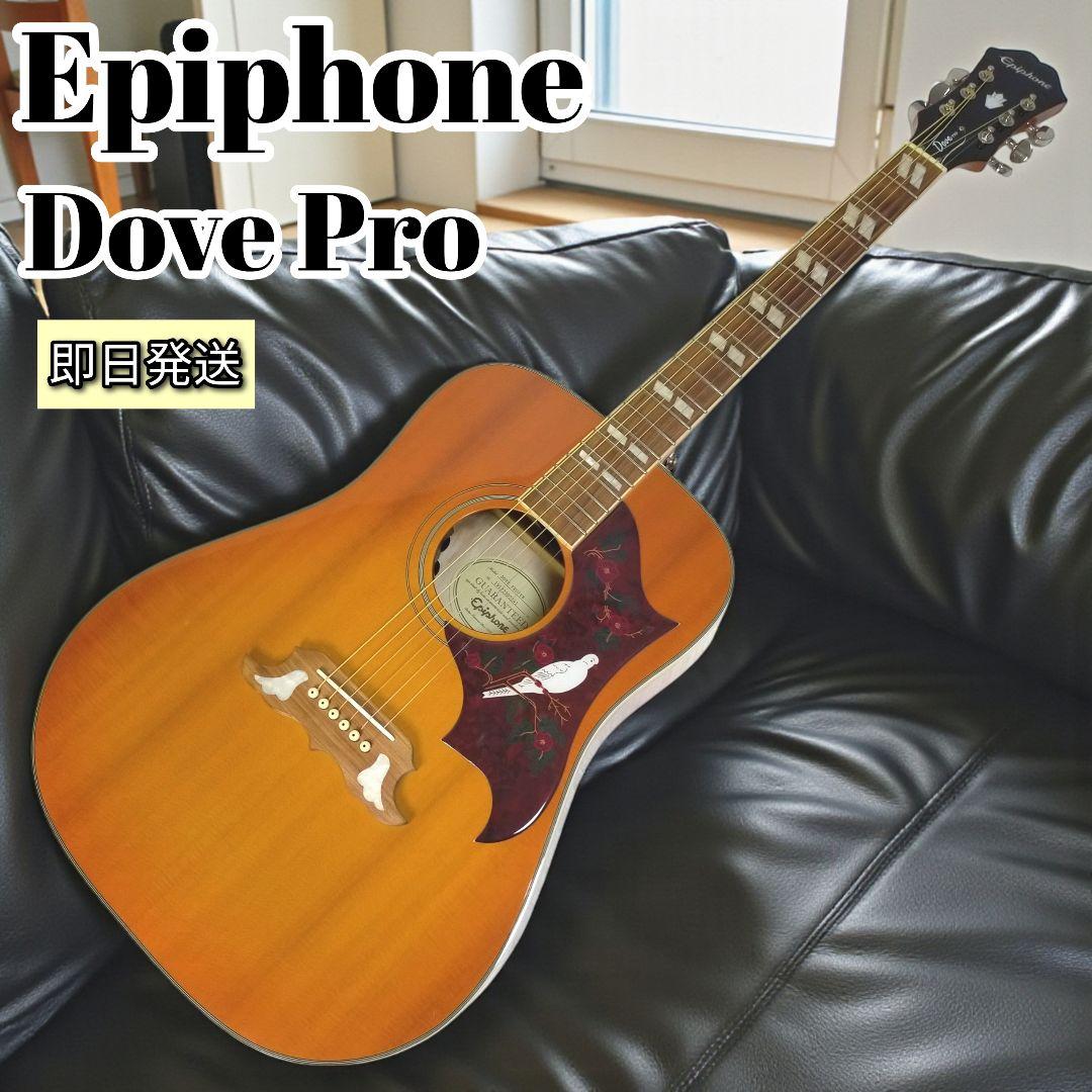 【極美品/24h内発送】Epiphone Dove Pro 幸せを運ぶ鳩の調べ