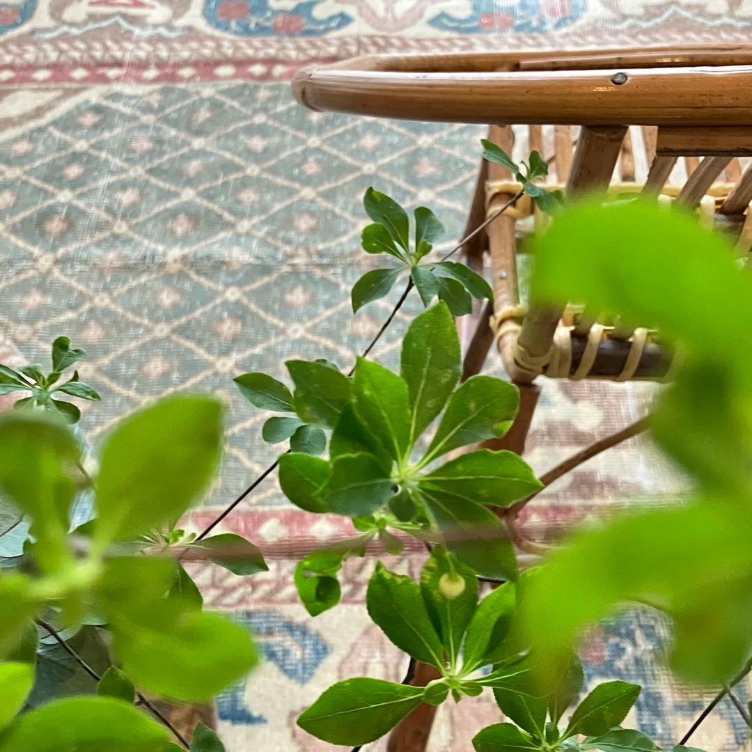 貴重129×180くすみピンク　ペパーミント　カフェラテ　トルコヴィンテージラグ