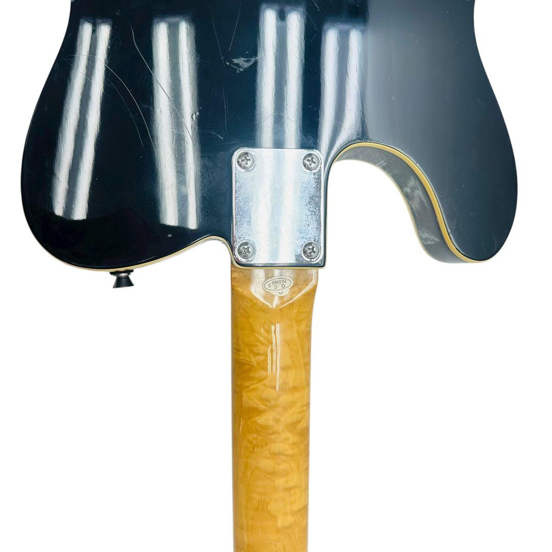 Photo Genic エレキギター