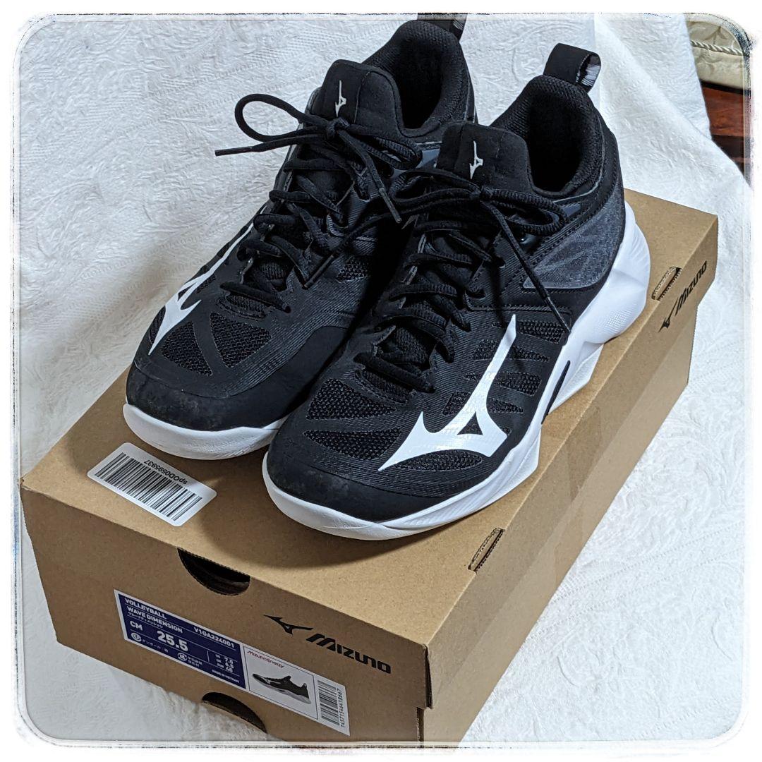 シューズ Mizuno Wave Dimension V1GA224001 25.5cm