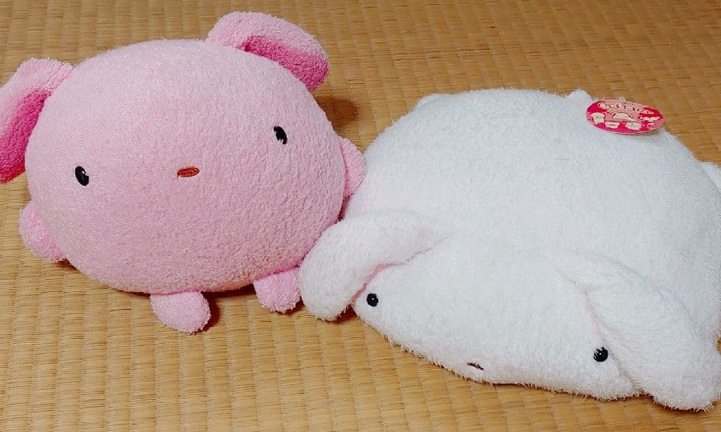 フリッカまつもと♡まんまるしりーず♡雪うさぎもちもちピロー　ぬくまろ　ぬいぐるみ