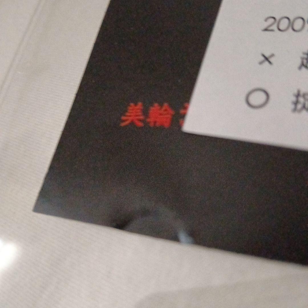 貴重 ゴールデンボンバー 2008年特典DVD 非売品