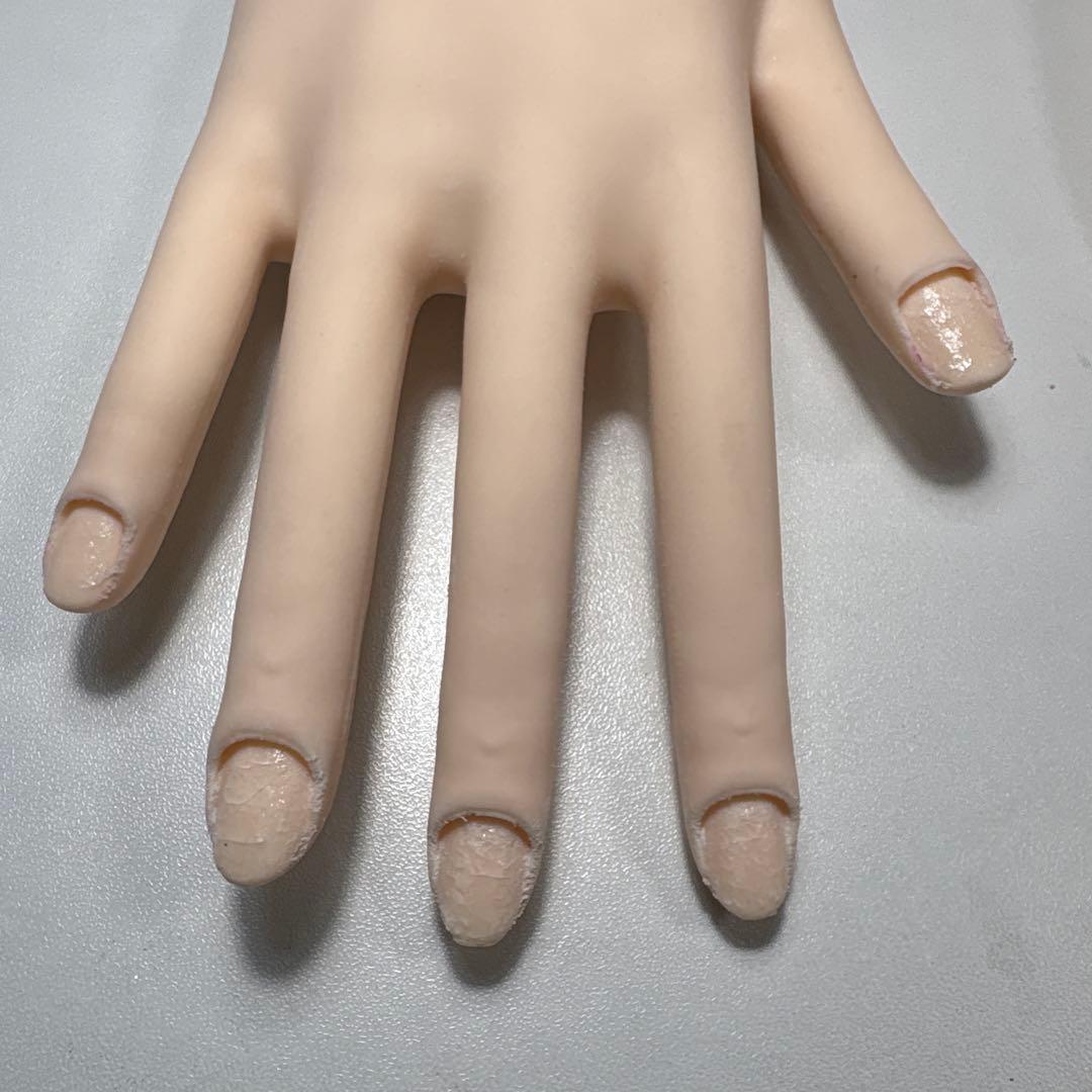 STハンドモデル　ネイリスト検定