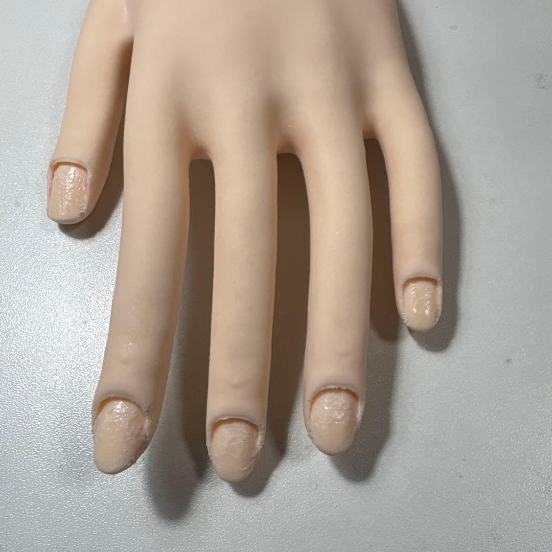 STハンドモデル　ネイリスト検定