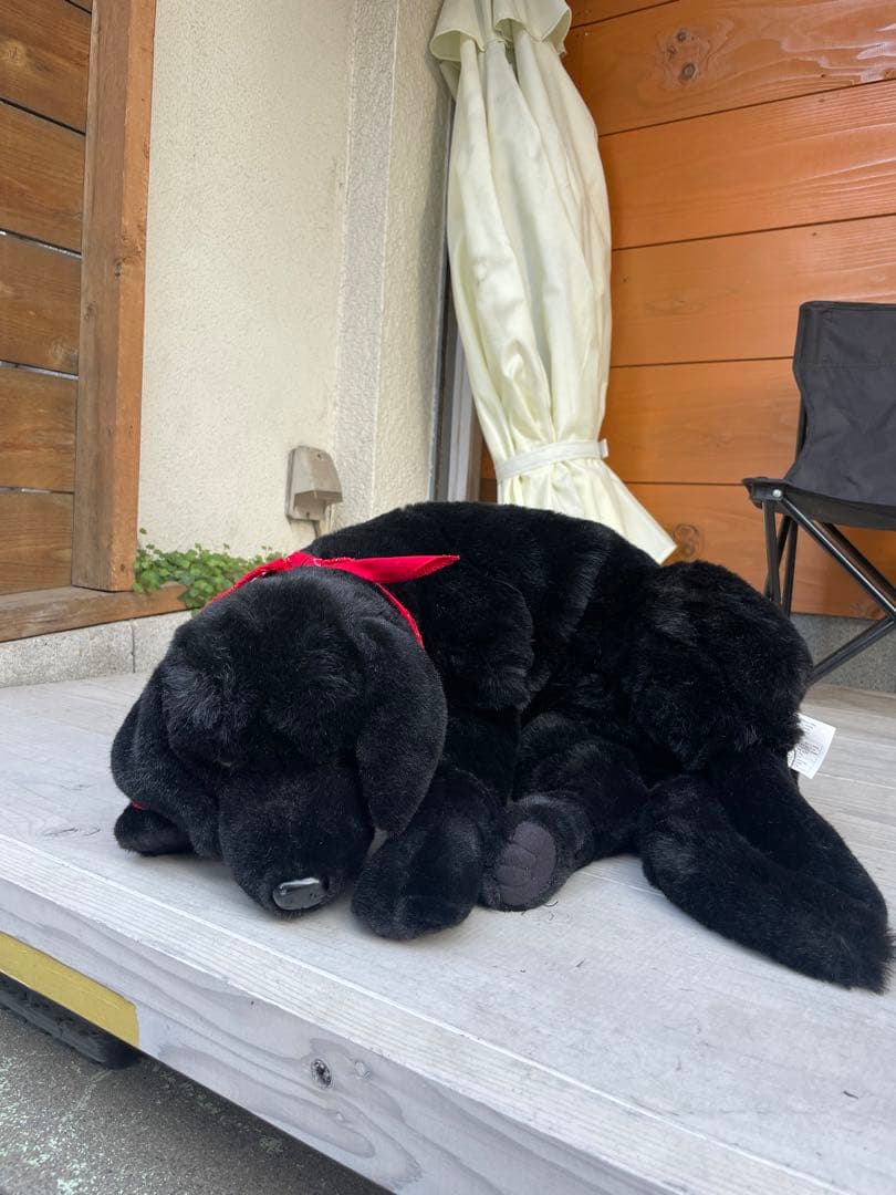 特大全長90cm等身大ワンちゃん　犬ぬいぐるみ DITZ ラブラドール