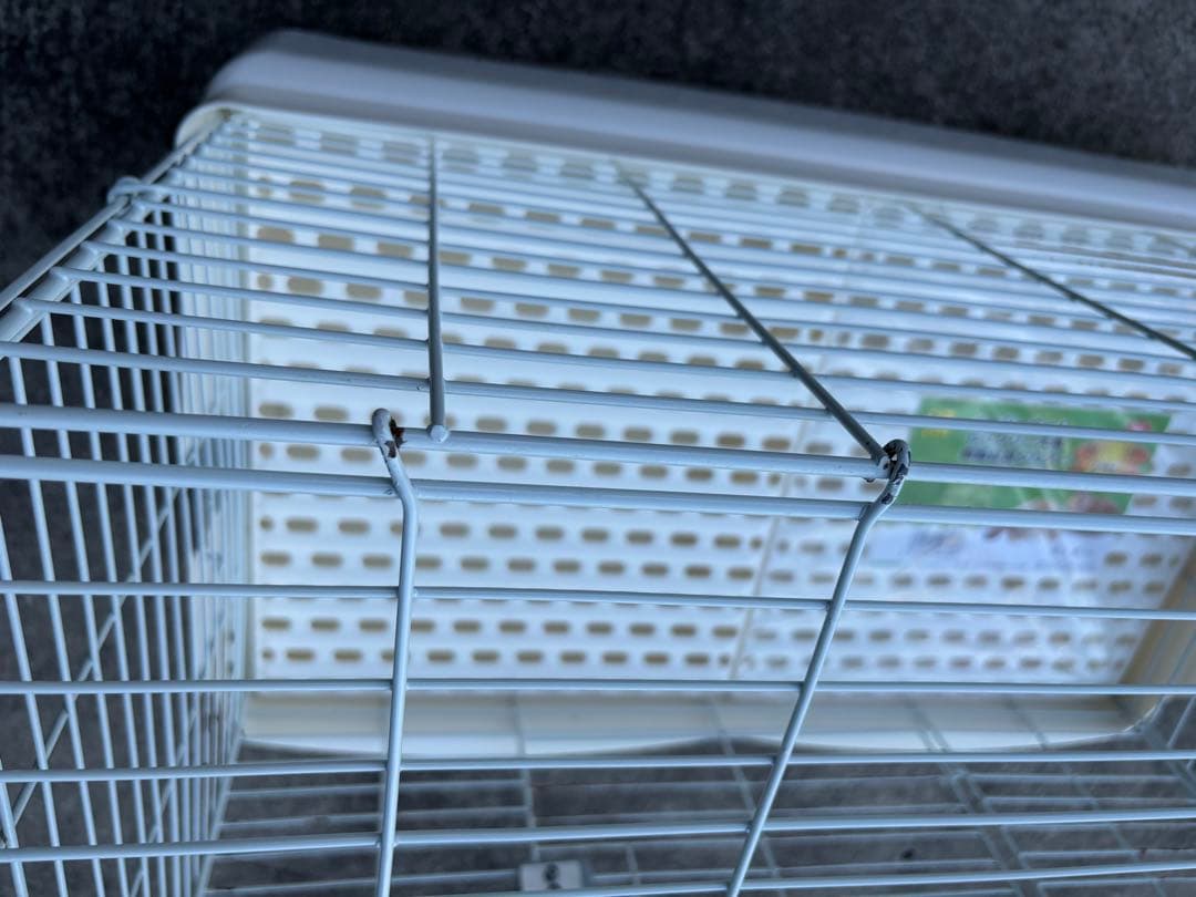 うさぎゲージ イージーホームEVO80 おまけ有り