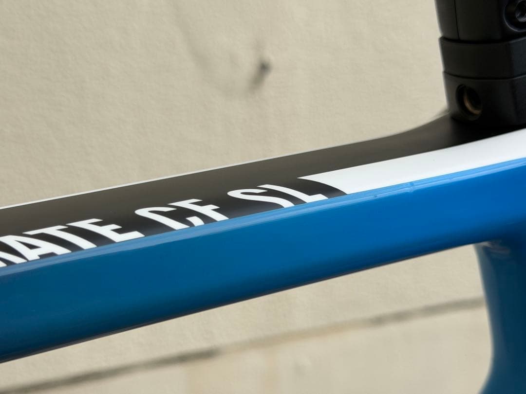 Canyon CF SL8.0 Lサイズ ホイールなし 美品