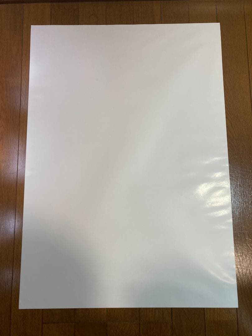 【B2サイズ】スーパーストリートファイターII X ポスター