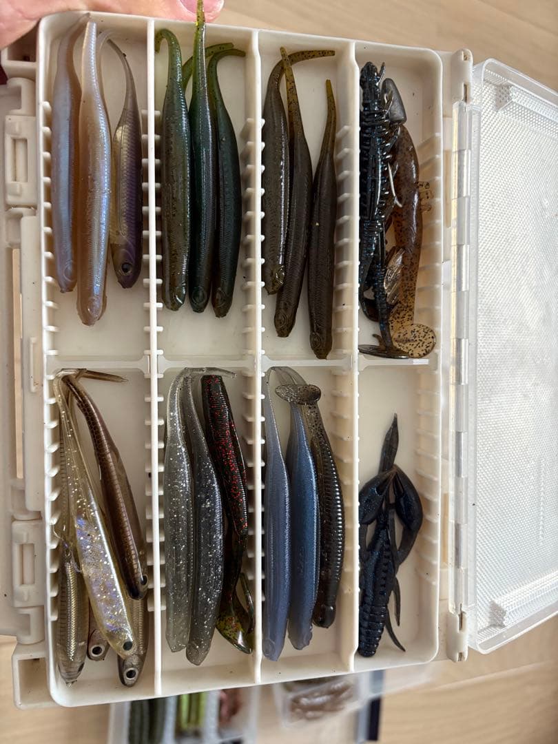 ロックフィッシュ引退セット