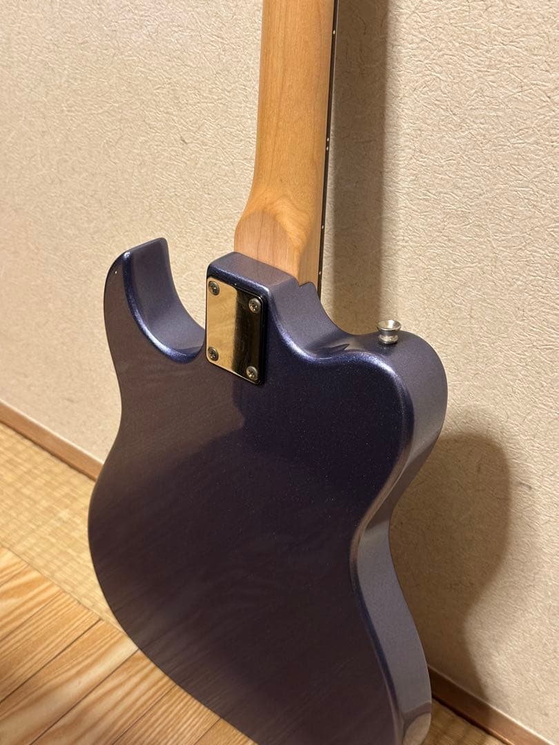 PLAYTECH プレイテック　テレキャスター系　エレキギター