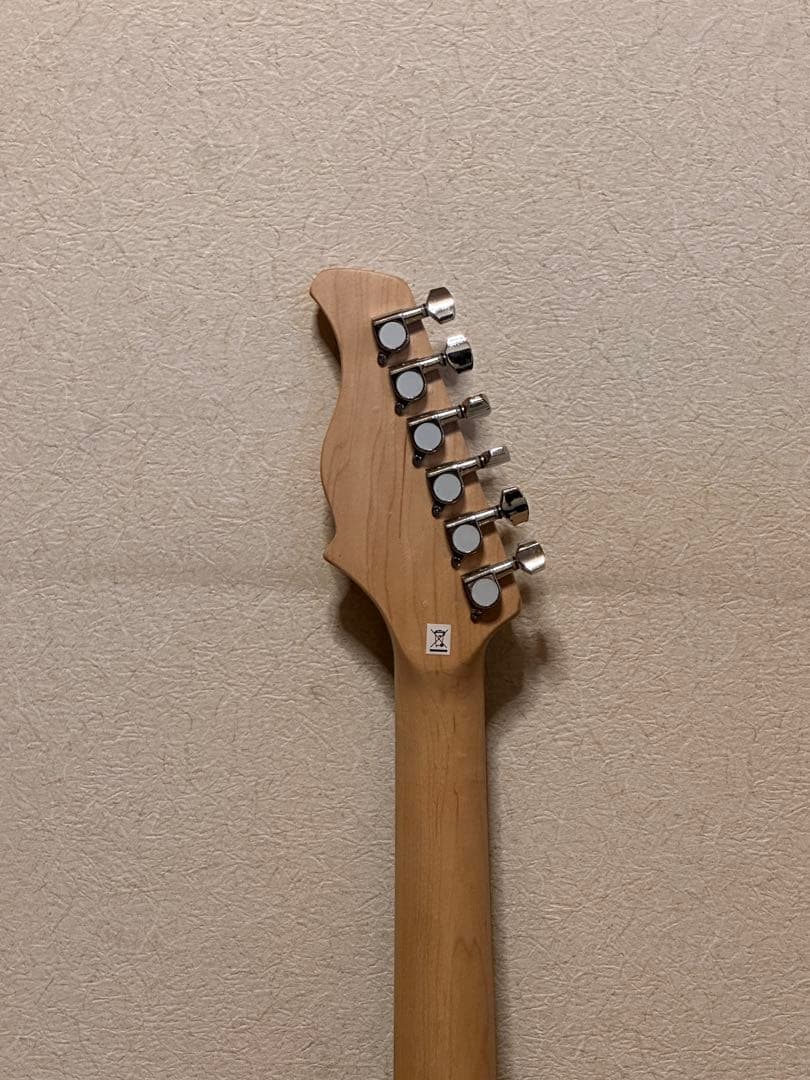 PLAYTECH プレイテック　テレキャスター系　エレキギター