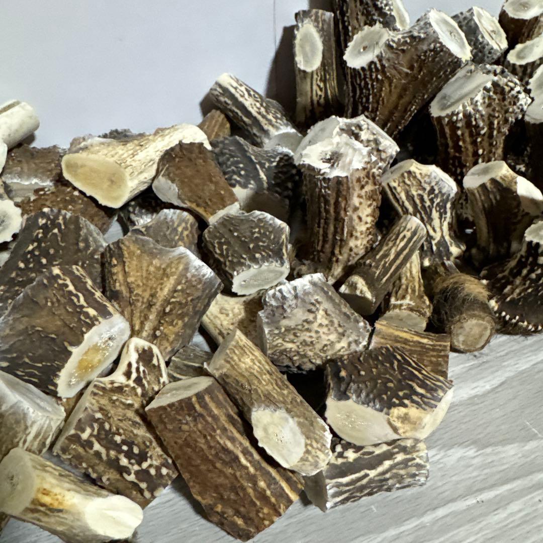 鹿の角　端材Ａ　ハンドメイド用