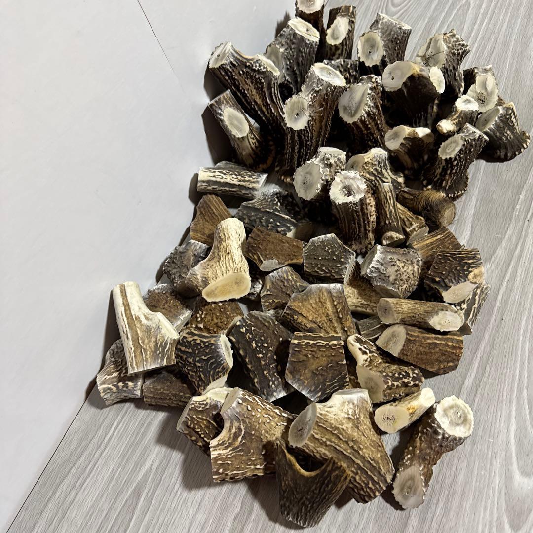 鹿の角　端材Ａ　ハンドメイド用