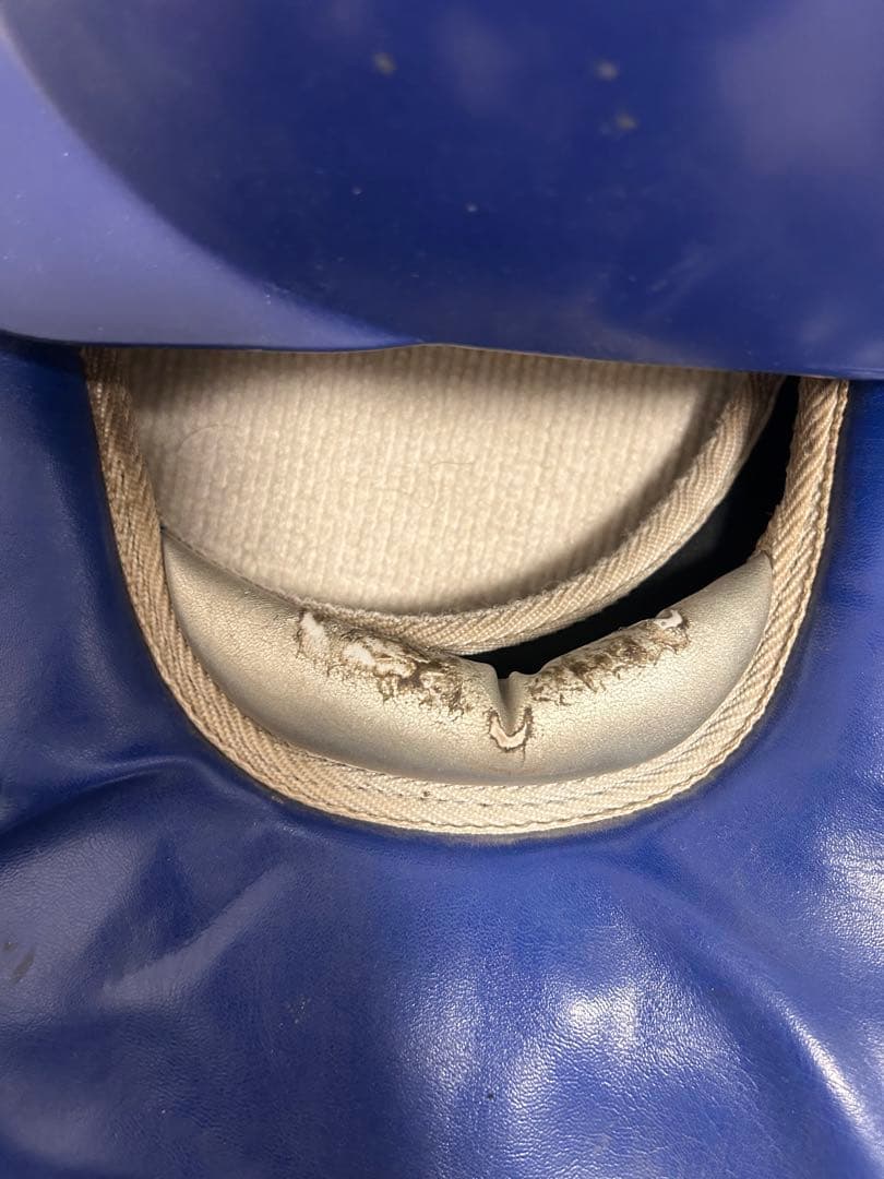 ZETT プロステータス　一般軟式用プロテクター 青