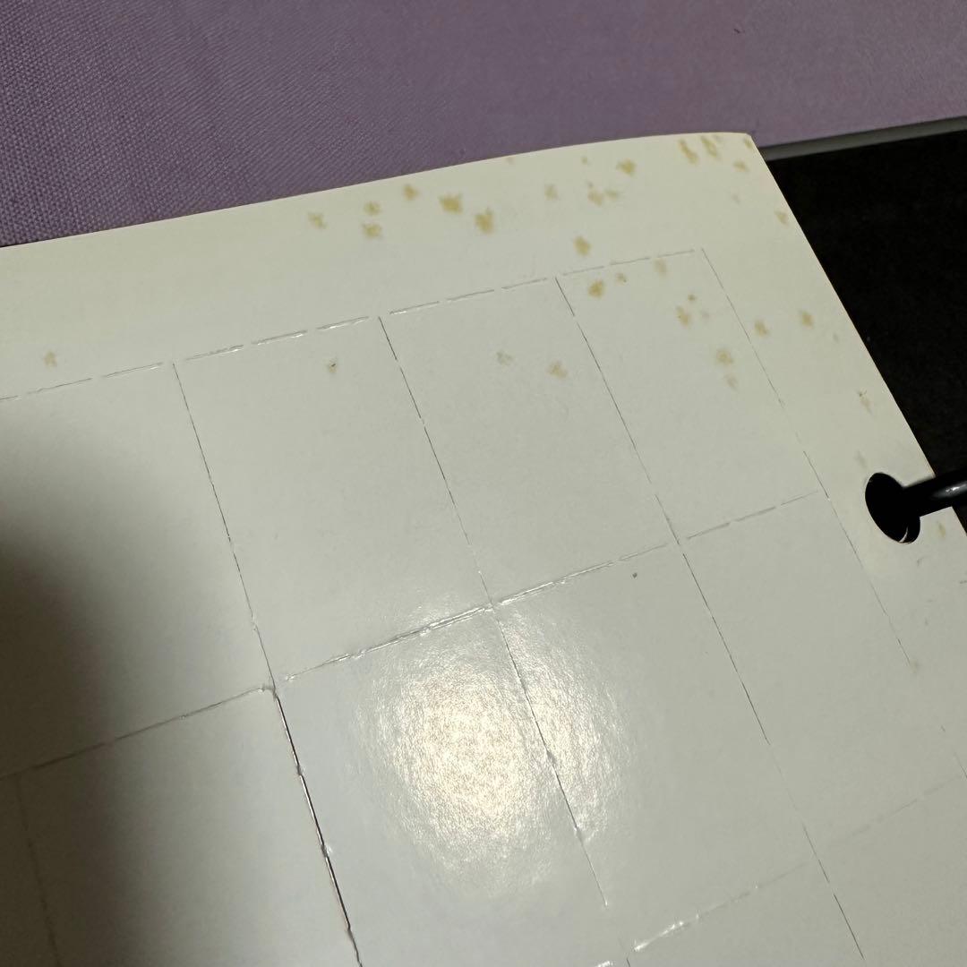 【早い者勝ち！】パントンメタリックチップスコート/正規品中古保管品