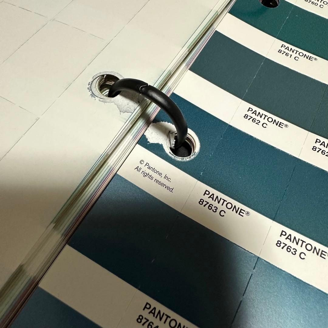 【早い者勝ち！】パントンメタリックチップスコート/正規品中古保管品