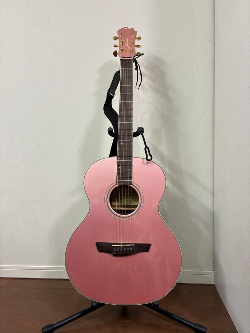 アコースティックギター James J-500A/SPC エレアコ