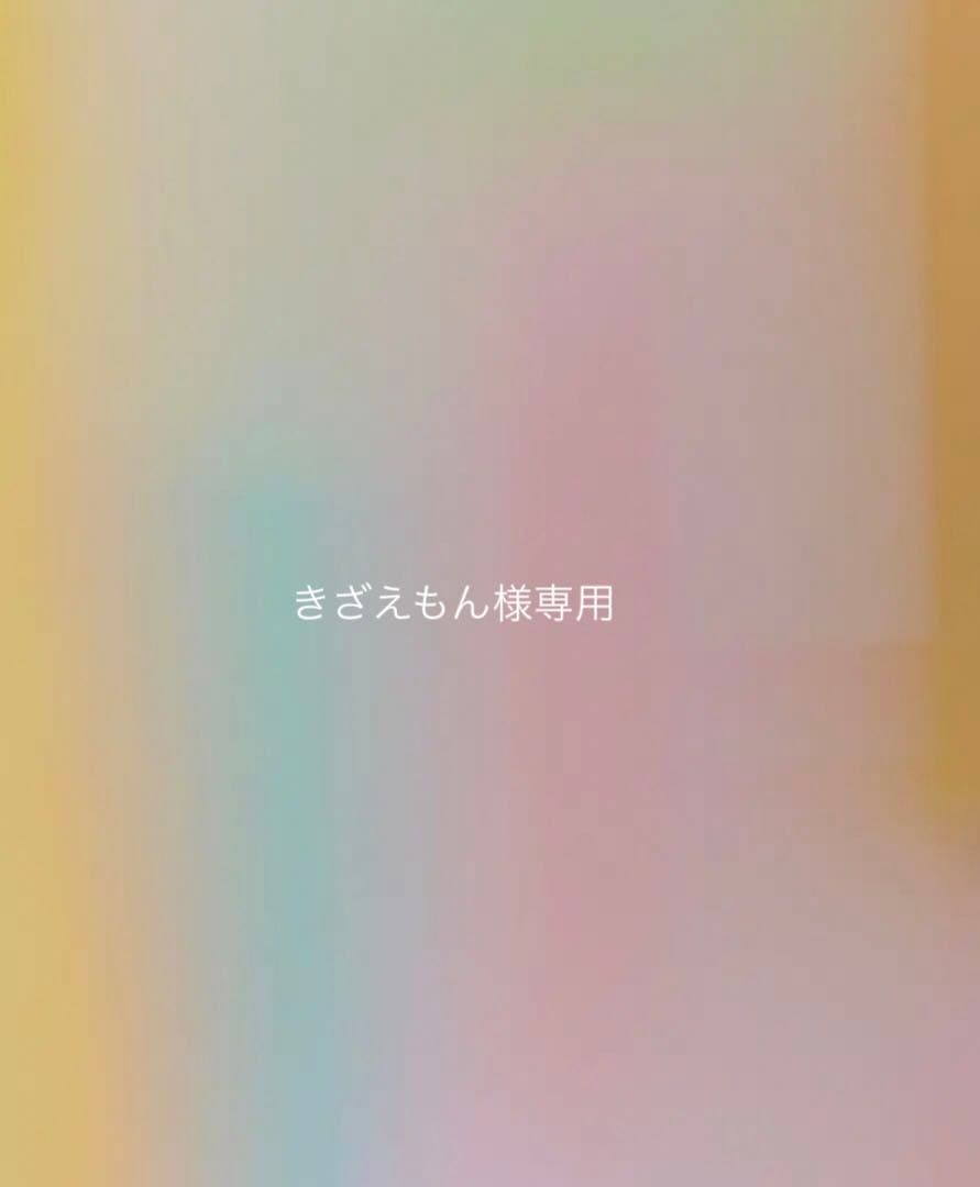 きざえもん2点おまとめ