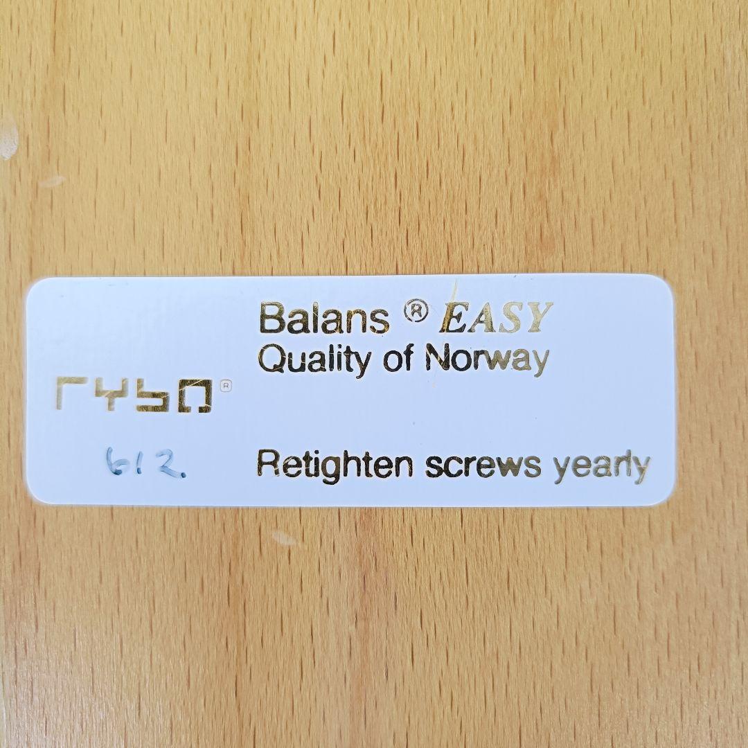 rybo リボ BalansEASY バランスチェアイージー 姿勢矯正 骨盤矯正