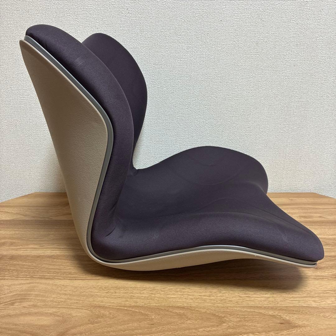 Style 骨盤・姿勢矯正クッション