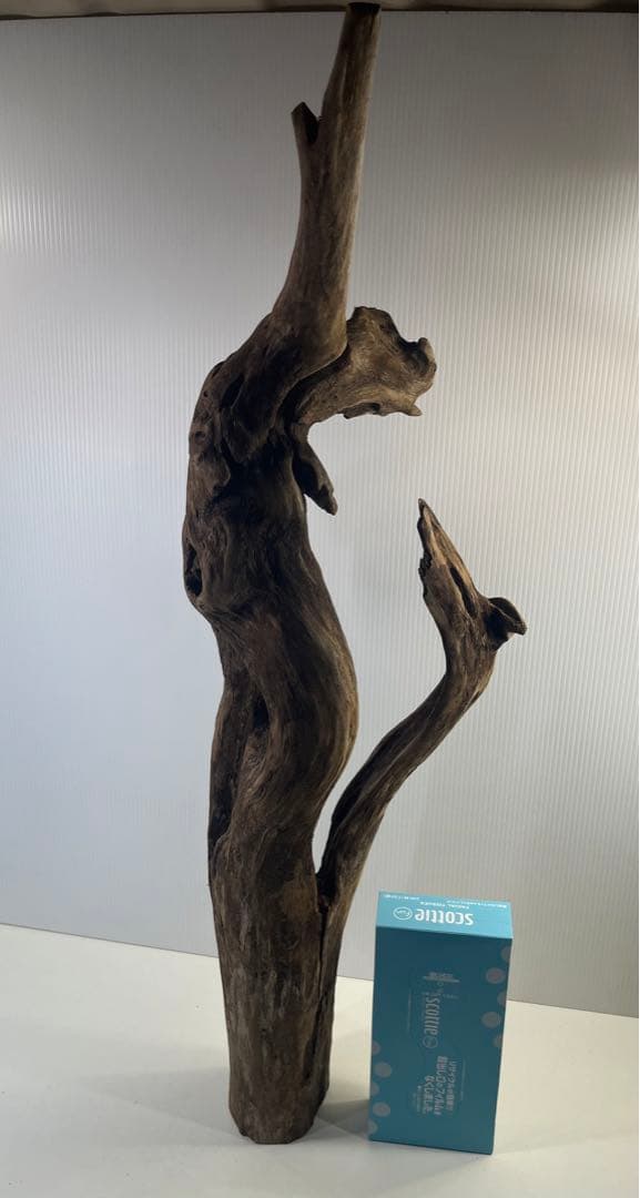 R71特大流木 アク抜き済み流木 爬虫類シェルター 登り木 インテリア 生け花