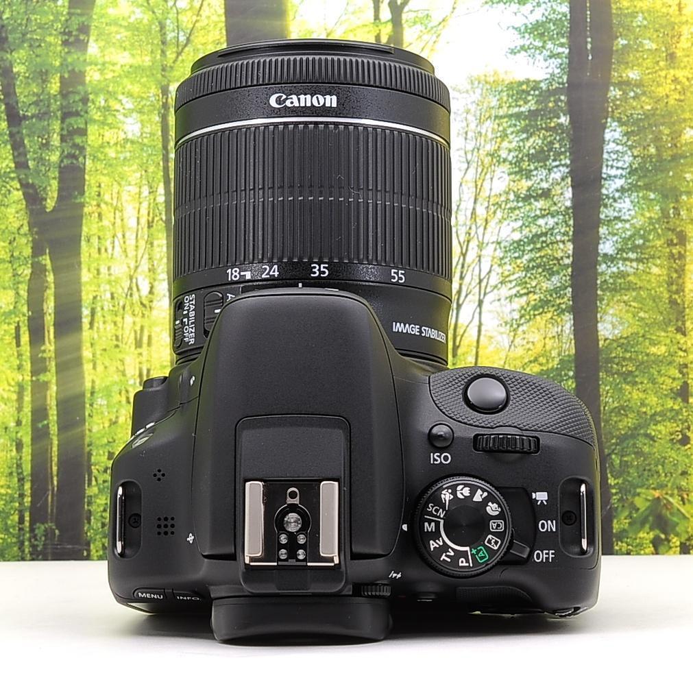 ショット数1715枚！スマホ転送セット☆キャノン Kiss X７＋18-200㎜