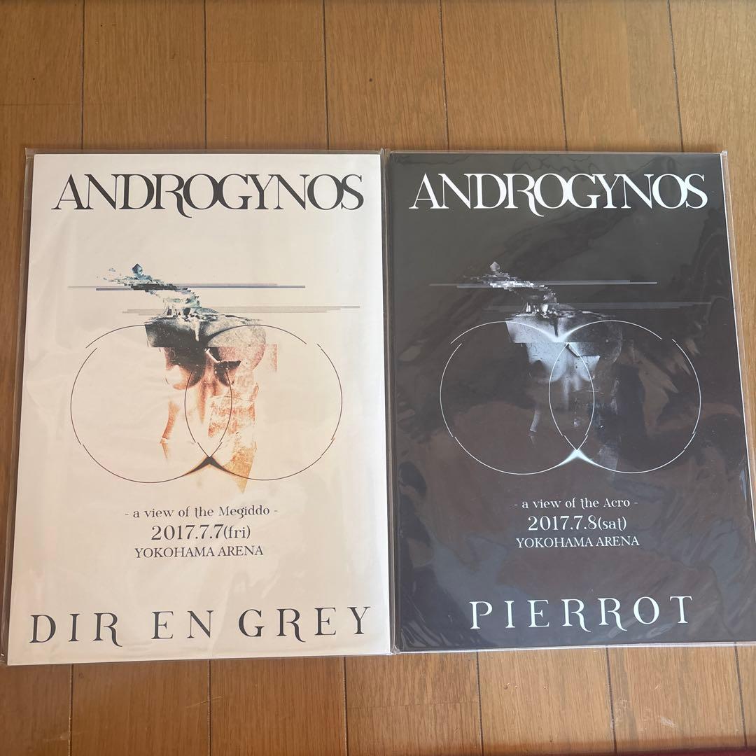 ANDROGYNOS DIR EN GREY PIERROT パンフレット