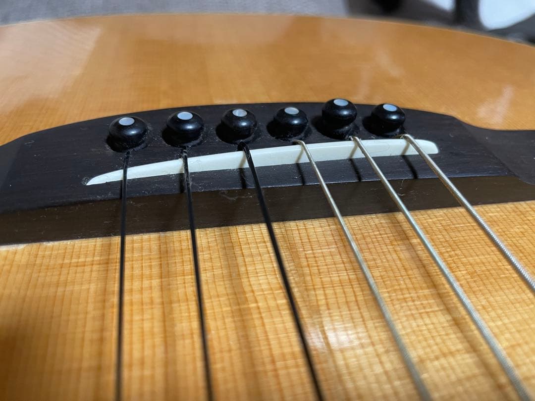 ギター Lakewood A-45 Custom Ziricote Europian