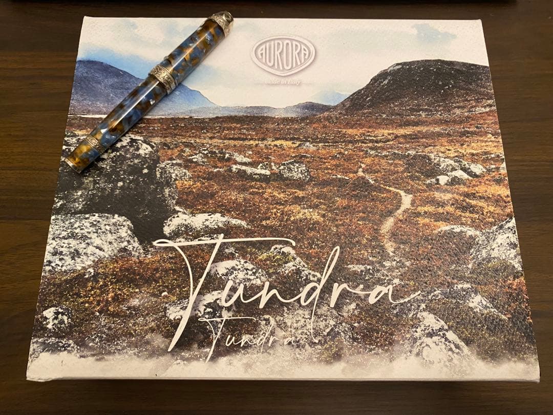 【限定生産品】アウロラ万年筆　アンビエンティ　ツンドラBニブ