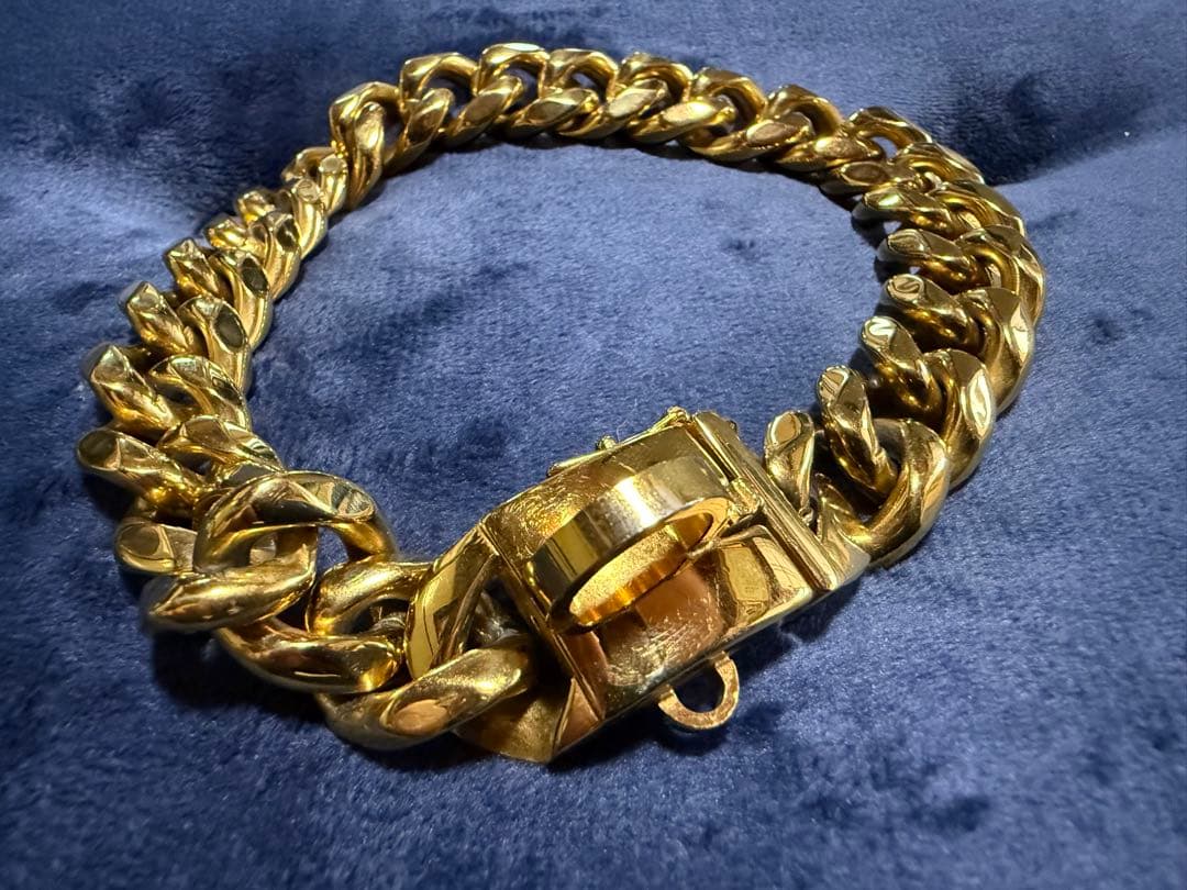 金色の首輪&リードセット