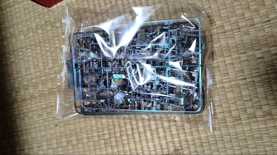 RG 1/144 沙扎比　クリアパール