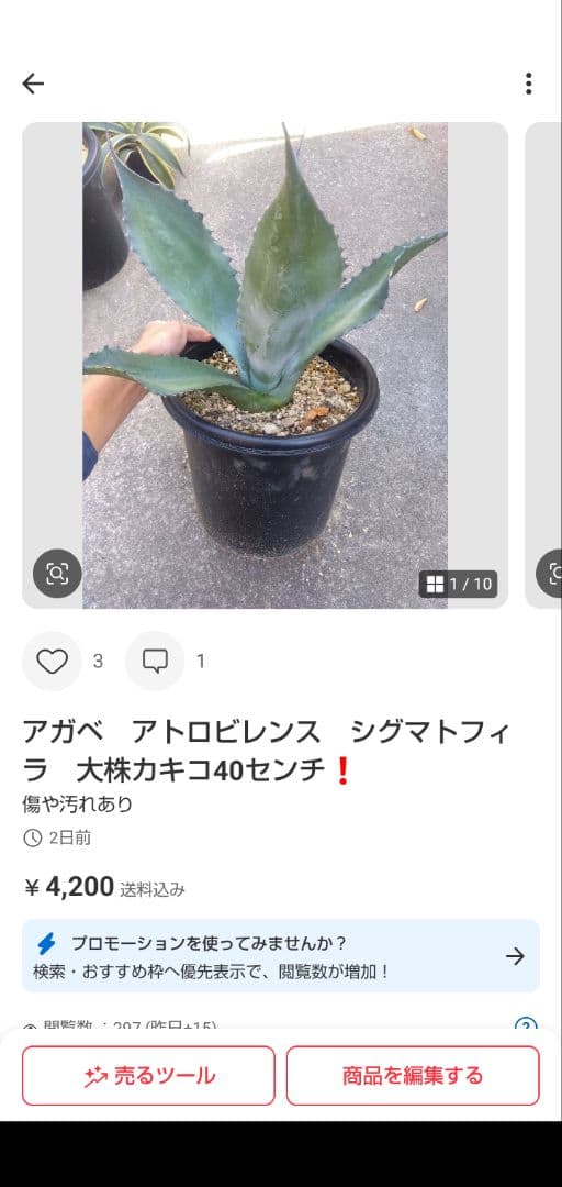 うーたん　同梱価格