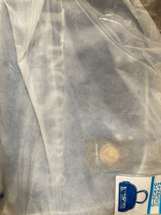 新日本プロレス エナメルバッグ