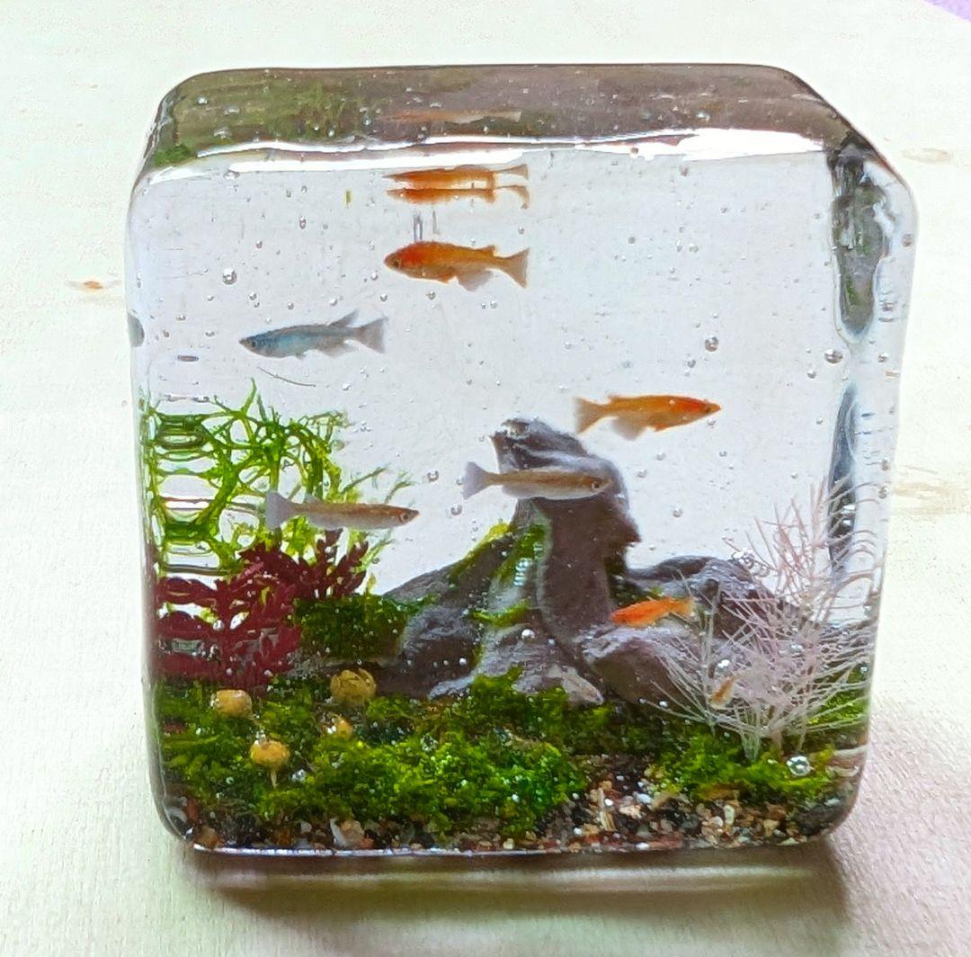 リリィ様 リクエスト 3点 まとめ商品