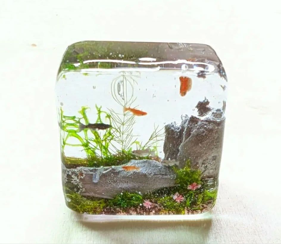 リリィ様 リクエスト 3点 まとめ商品