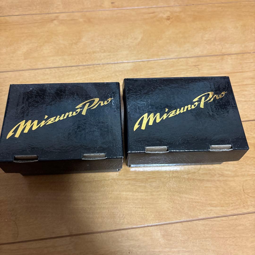ミニチュア ミズノプログローブ